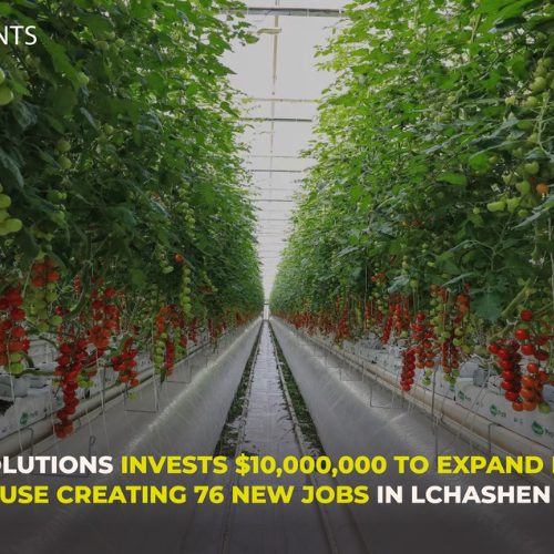 Մեր անդամներից մեկը՝ Richel Group-ը, աջակցում է Green Solutions LLC-ին, որը 10 միլիոն ԱՄՆ դոլարի ներդրում է կատարել Հայաստանում իր ջերմոցային տնտեսության ընդլայնման համար՝ ստեղծելով 76 նոր աշխատատեղ