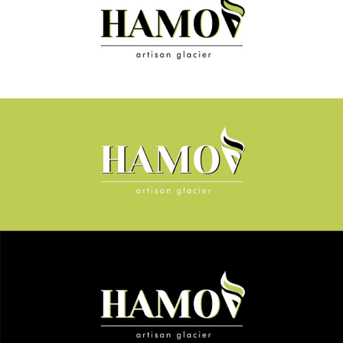 Notre nouvel adhérent “HAMOV”